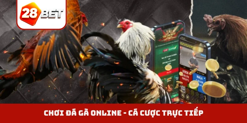 Chơi đá gà online