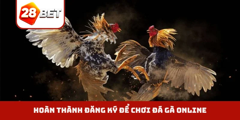 Hoàn thành đăng ký để chơi đá gà online